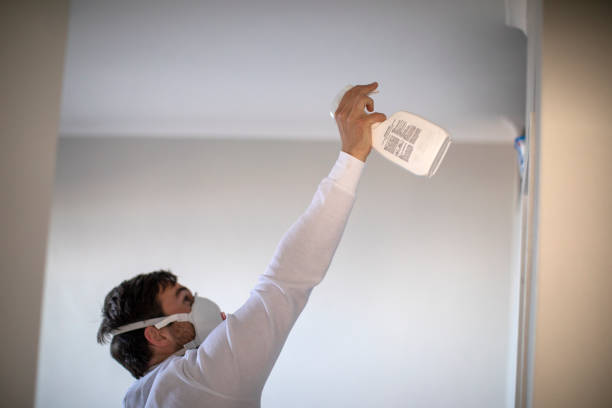 Professional Mold Remediation in West Alexandria, OH